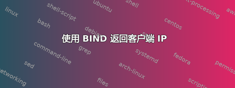 使用 BIND 返回客户端 IP 