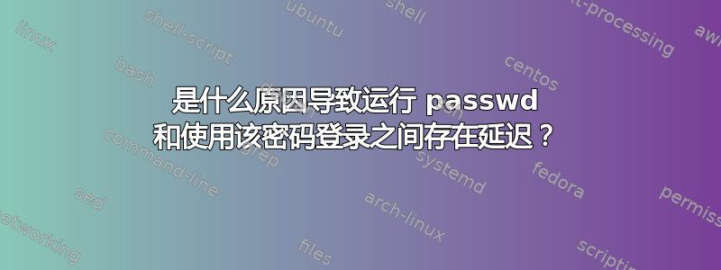 是什么原因导致运行 passwd 和使用该密码登录之间存在延迟？