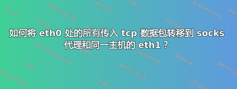 如何将 eth0 处的所有传入 tcp 数据包转移到 socks 代理和同一主机的 eth1？