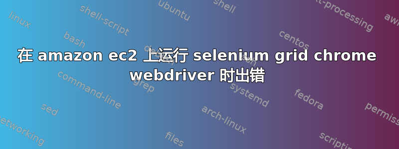 在 amazon ec2 上运行 selenium grid chrome webdriver 时出错