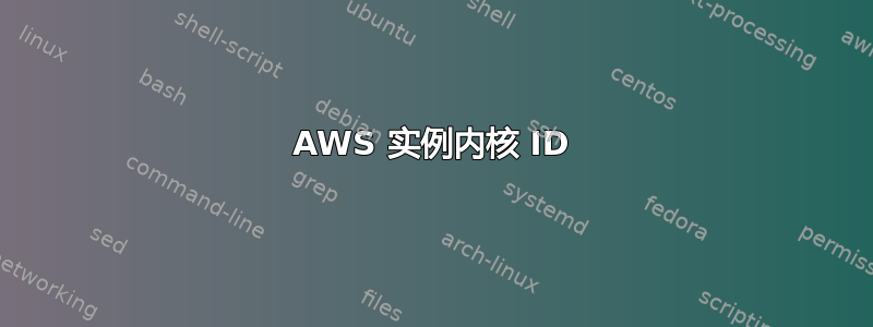 AWS 实例内核 ID