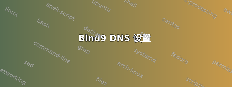 Bind9 DNS 设置