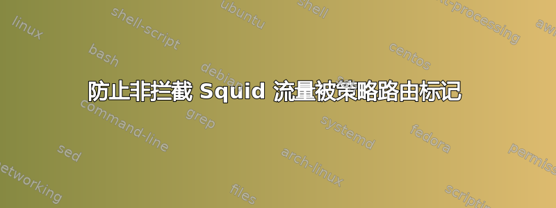 防止非拦截 Squid 流量被策略路由标记