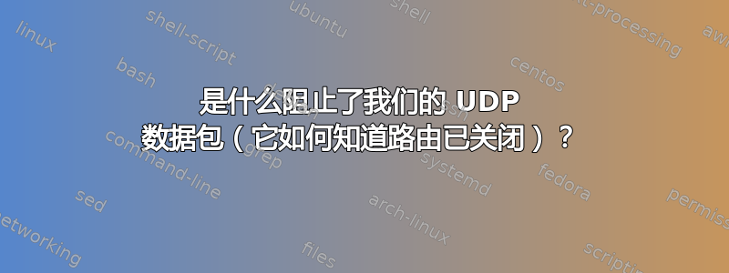 是什么阻止了我们的 UDP 数据包（它如何知道路由已关闭）？