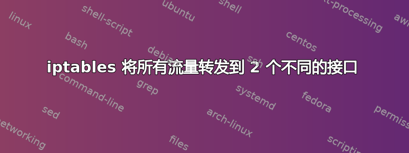 iptables 将所有流量转发到 2 个不同的接口