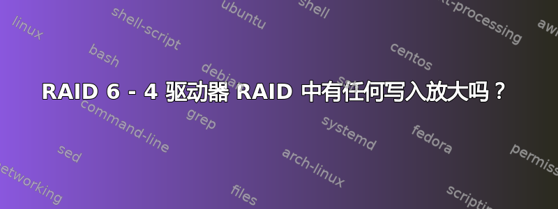 RAID 6 - 4 驱动器 RAID 中有任何写入放大吗？