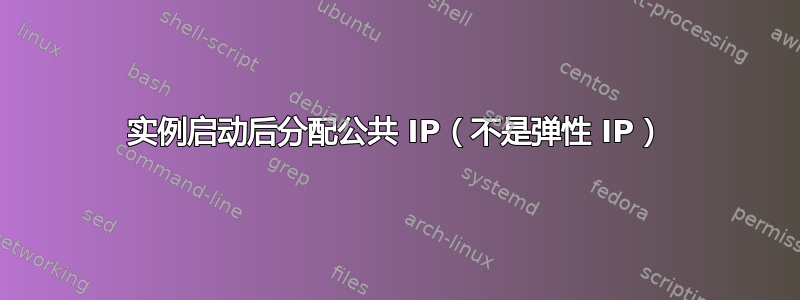 实例启动后分配公共 IP（不是弹性 IP）