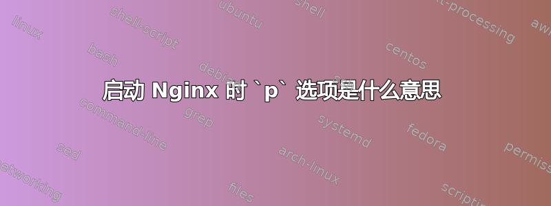 启动 Nginx 时 `p` 选项是什么意思