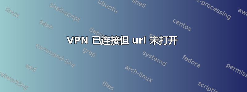 VPN 已连接但 url 未打开