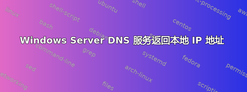 Windows Server DNS 服务返回本地 IP 地址