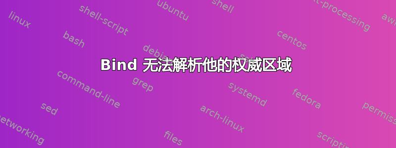 Bind 无法解析他的权威区域