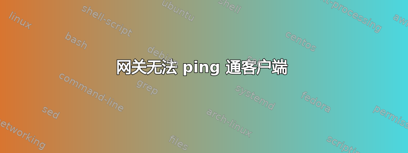 网关无法 ping 通客户端