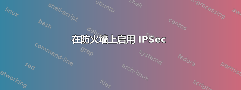 在防火墙上启用 IPSec