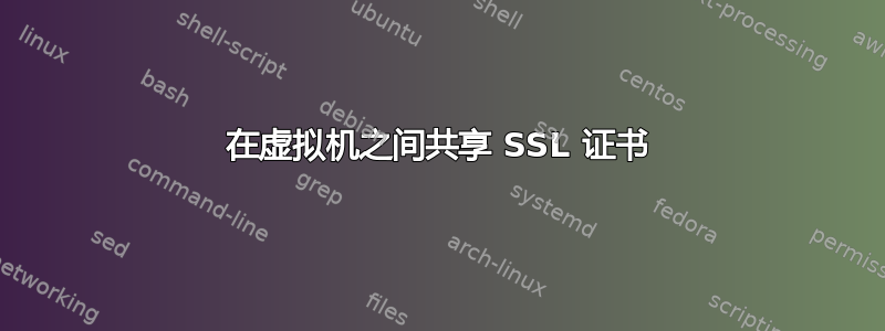 在虚拟机之间共享 SSL 证书