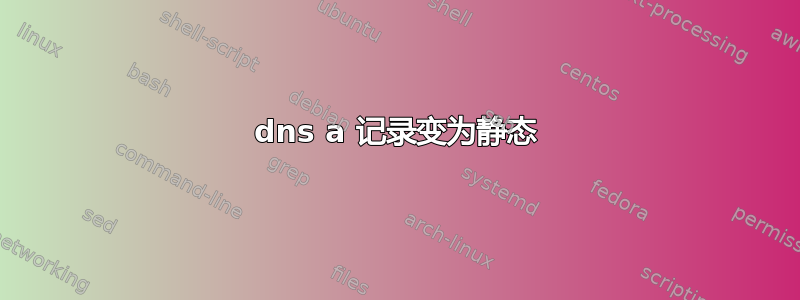 dns a 记录变为静态