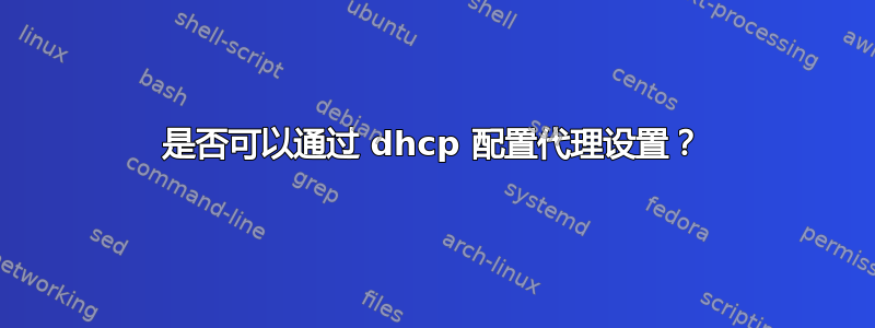 是否可以通过 dhcp 配置代理设置？