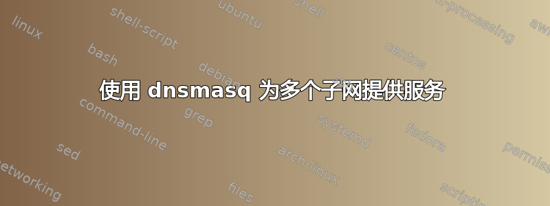 使用 dnsmasq 为多个子网提供服务