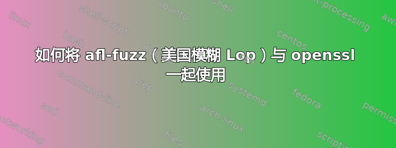 如何将 afl-fuzz（美国模糊 Lop）与 openssl 一起使用