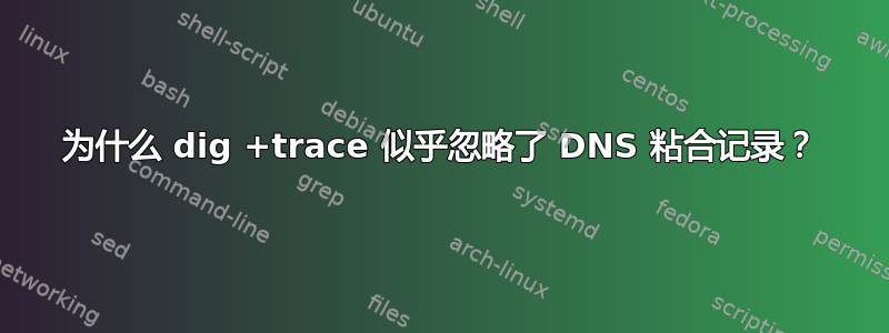 为什么 dig +trace 似乎忽略了 DNS 粘合记录？