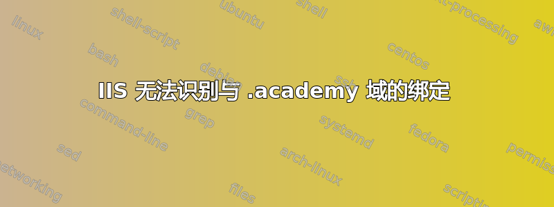 IIS 无法识别与 .academy 域的绑定