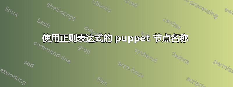 使用正则表达式的 puppet 节点名称