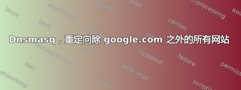 Dnsmasq，重定向除 google.com 之外的所有网站