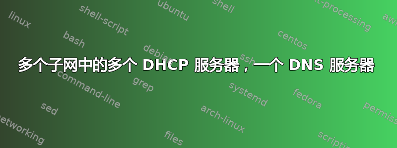 多个子网中的多个 DHCP 服务器，一个 DNS 服务器