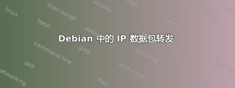 Debian 中的 IP 数据包转发