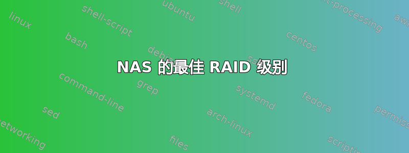 NAS 的最佳 RAID 级别