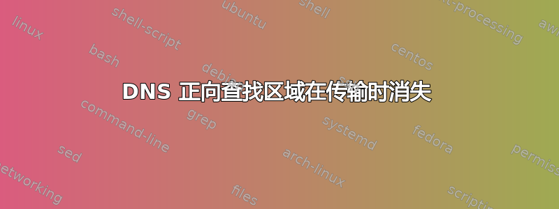 DNS 正向查找区域在传输时消失