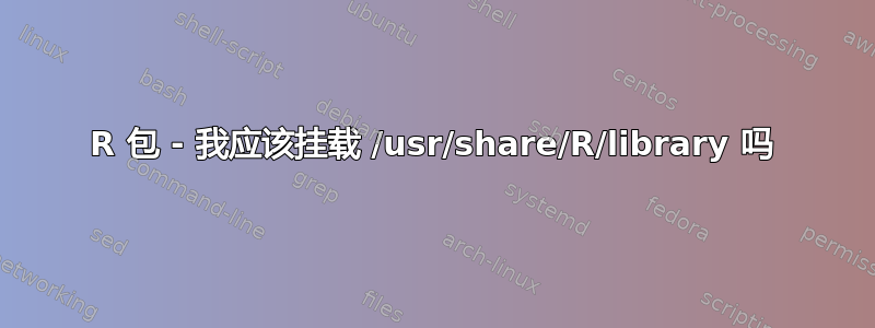 R 包 - 我应该挂载 /usr/share/R/library 吗