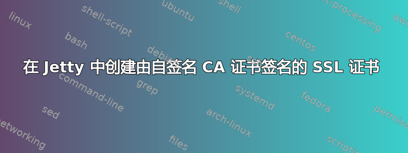 在 Jetty 中创建由自签名 CA 证书签名的 SSL 证书