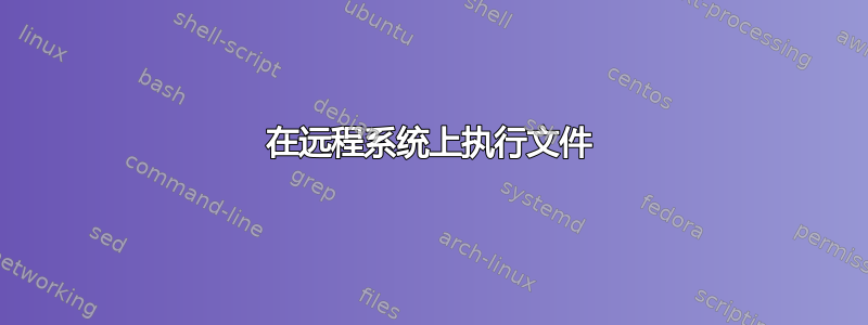 在远程系统上执行文件