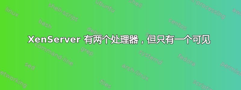 XenServer 有两个处理器，但只有一个可见