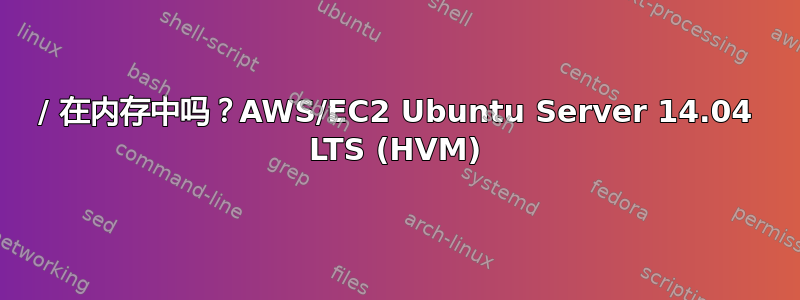 / 在内存中吗？AWS/EC2 Ubuntu Server 14.04 LTS (HVM)