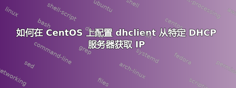 如何在 CentOS 上配置 dhclient 从特定 DHCP 服务器获取 IP