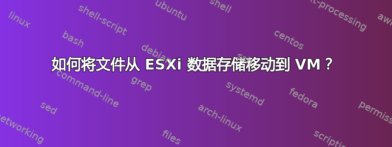 如何将文件从 ESXi 数据存储移动到 VM？