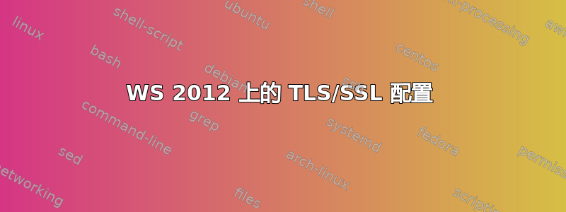 WS 2012 上的 TLS/SSL 配置