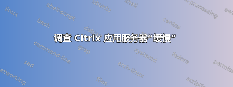 调查 Citrix 应用服务器“缓慢”