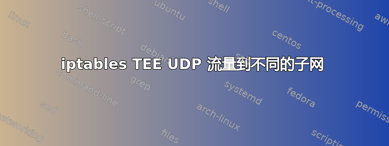 iptables TEE UDP 流量到不同的子网