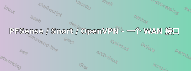 PFSense / Snort / OpenVPN - 一个 WAN 接口