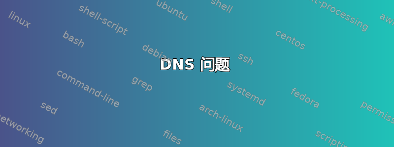 DNS 问题