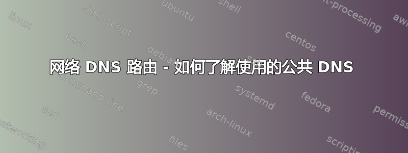 网络 DNS 路由 - 如何了解使用的公共 DNS