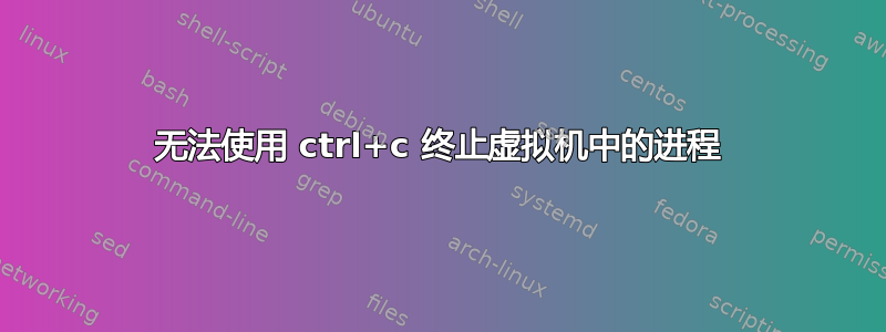 无法使用 ctrl+c 终止虚拟机中的进程