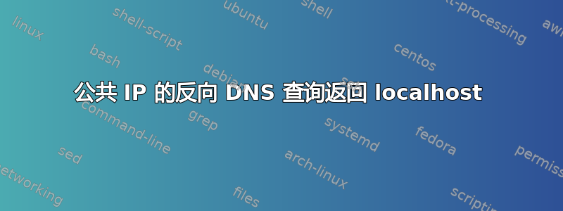 公共 IP 的反向 DNS 查询返回 localhost