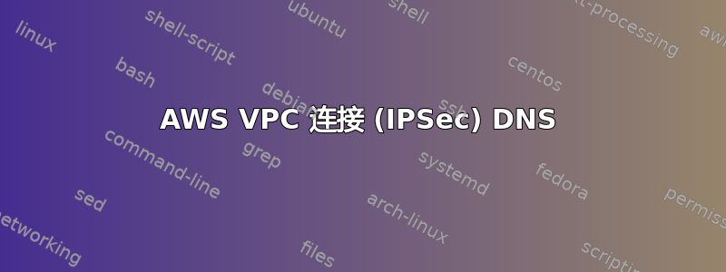 AWS VPC 连接 (IPSec) DNS