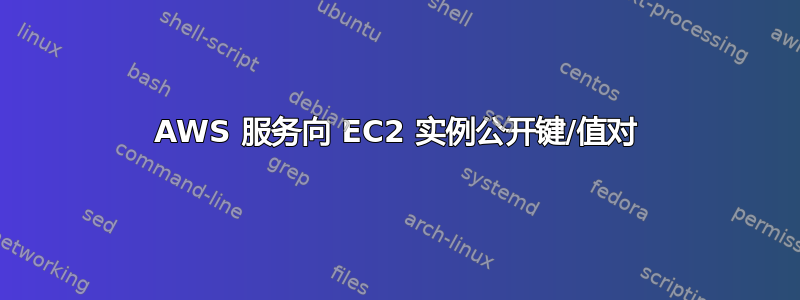 AWS 服务向 EC2 实例公开键/值对