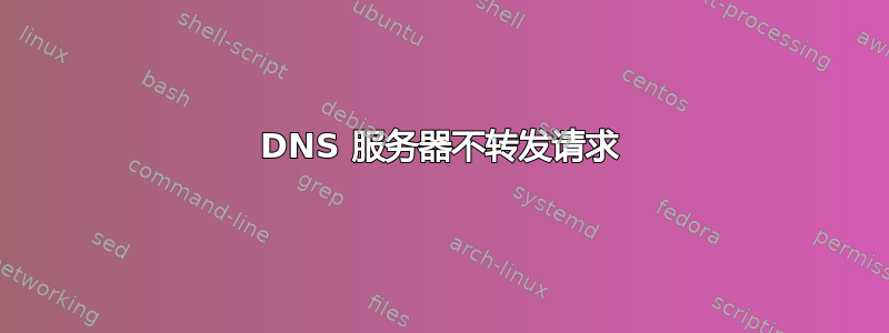 DNS 服务器不转发请求