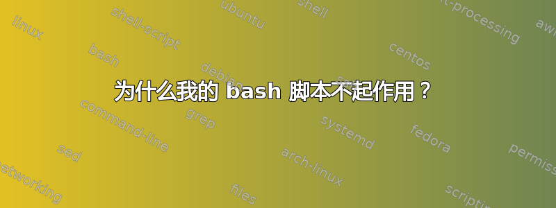 为什么我的 bash 脚本不起作用？