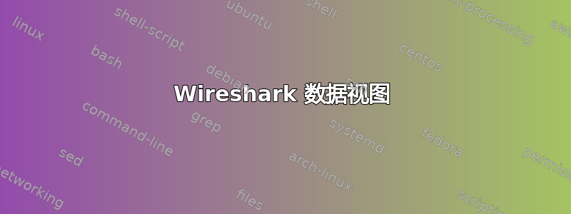 Wireshark 数据视图